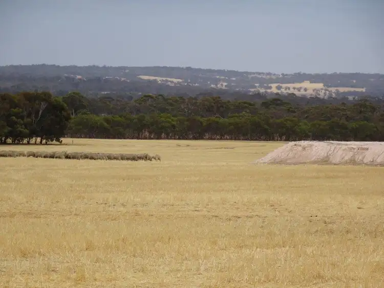 Main view of Homely rural property listing, 664 Bunmulling Road, Popanyinning WA 6309