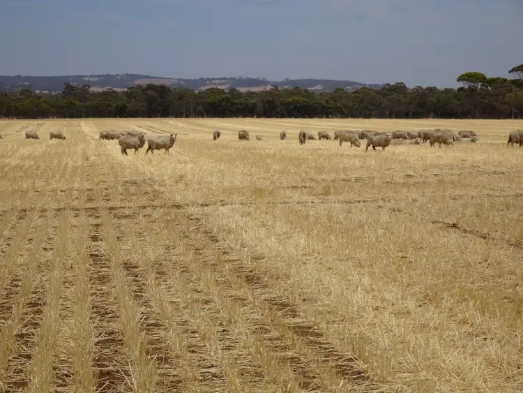 Fourth view of Homely rural property listing, 664 Bunmulling Road, Popanyinning WA 6309