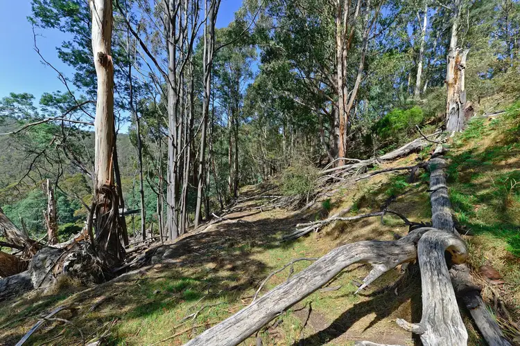 Sixth view of Homely land listing, 2-10 Turnip Fields Road, South Hobart TAS 7004