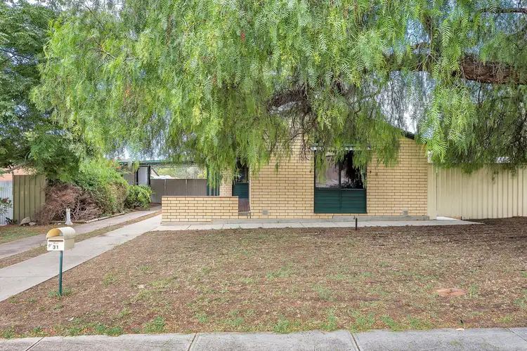 Third view of Homely house listing, 31 Diana Crescent, Morphett Vale SA 5162