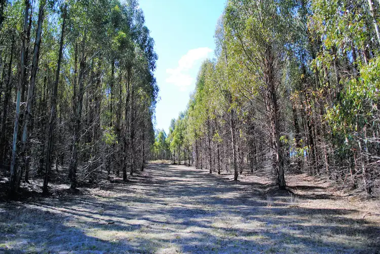 Fifth view of Homely land listing, 115 North Yarlington Road, Colebrook TAS 7027