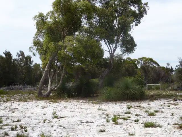 Sixth view of Homely land listing, 5 Vinegar Hill Drive, Lady Barron TAS 7255
