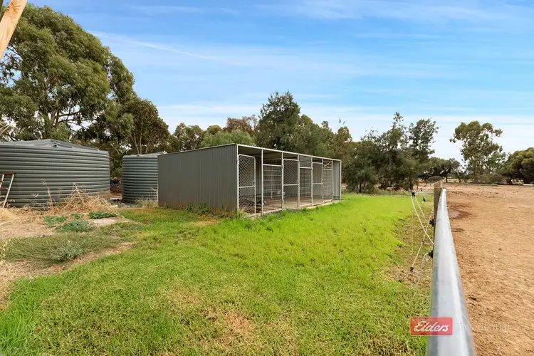 Sixth view of Homely house listing, 60 Murray Drive, Wharparilla VIC 3564