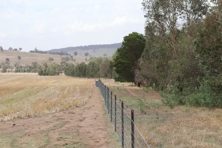Fourth view of Homely rural property listing, 871 Stockinbingal Road, Cootamundra NSW 2590