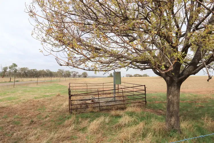 Seventh view of Homely rural property listing, 871 Stockinbingal Road, Cootamundra NSW 2590