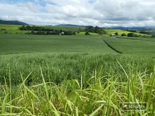 Main view of Homely rural property listing, Address available on request