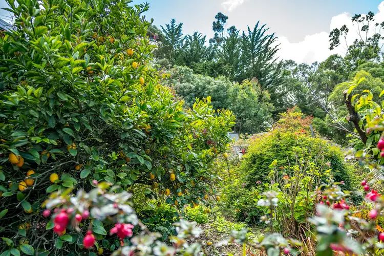 Sixth view of Homely rural property listing, 787 Springmount Road, Inman Valley SA 5211