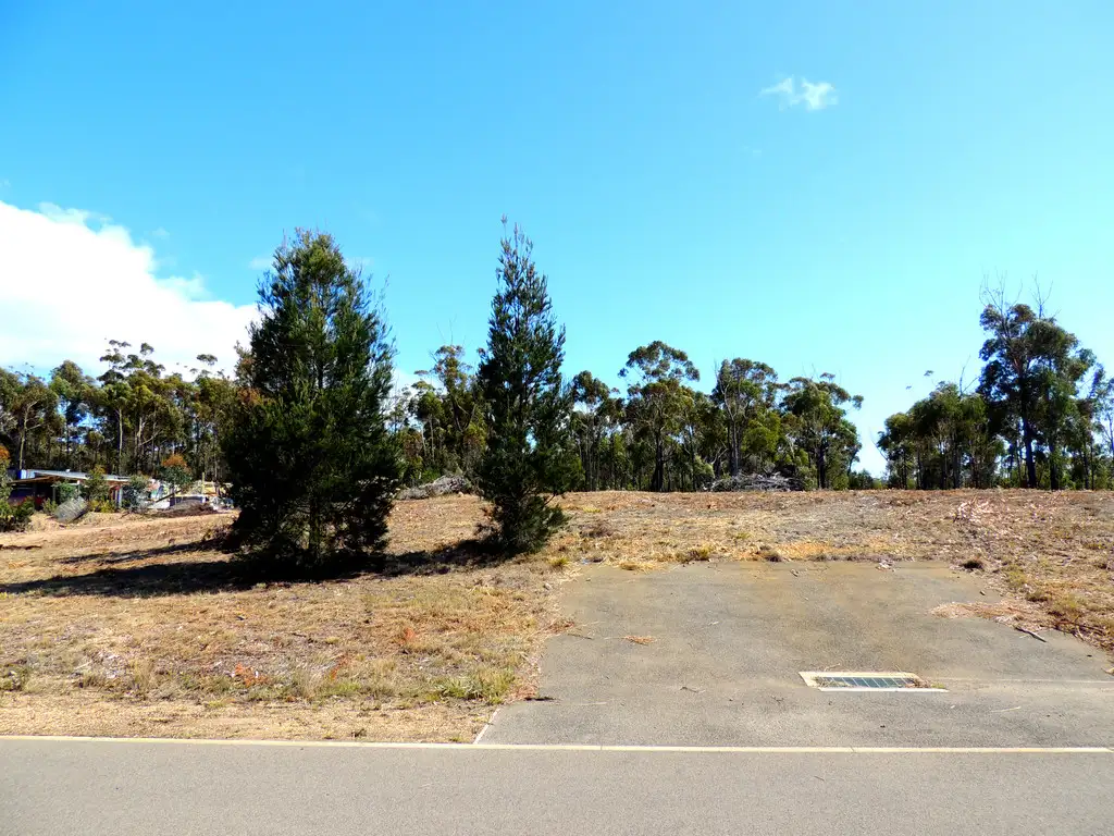 Main view of Homely land listing, 21 Oberon Place, Scamander TAS 7215