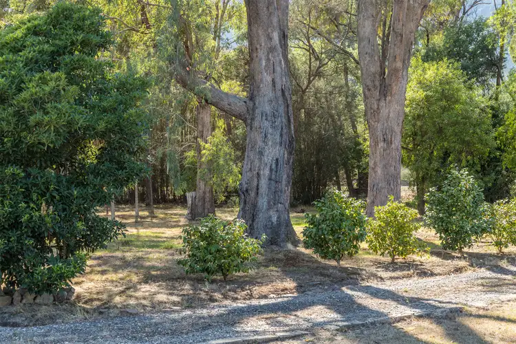 Sixth view of Homely rural property listing, 2757 Maroondah Highway, Taggerty VIC 3714