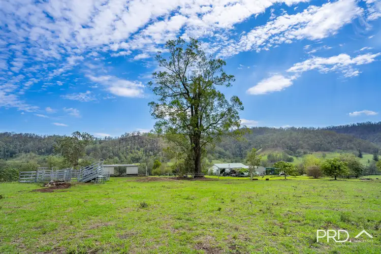 Sixth view of Homely rural property listing, 559 Smiths Creek Road, Afterlee via, Kyogle NSW 2474