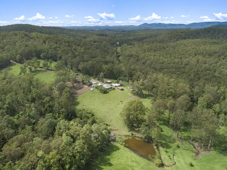 Main view of Homely rural property listing, 334 Crows Road, Frazers Creek via, Beechwood NSW 2446