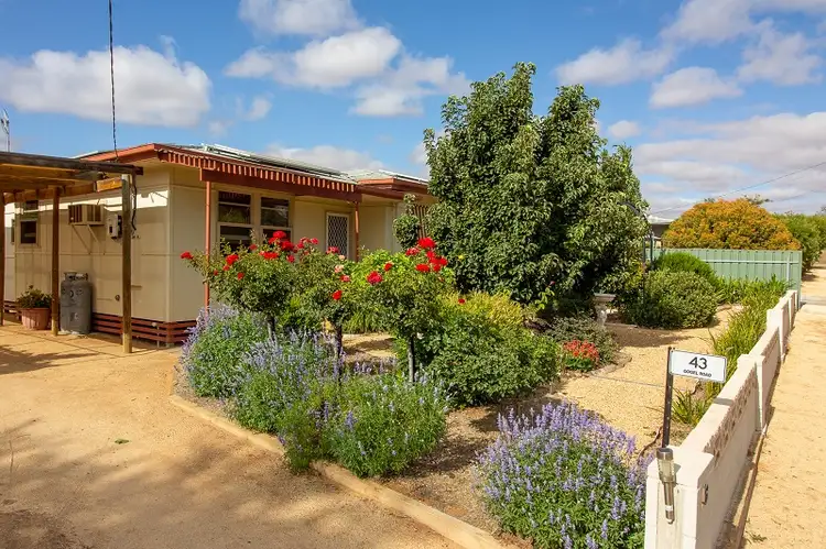 43 Gogel Road, Moorook SA 5332
