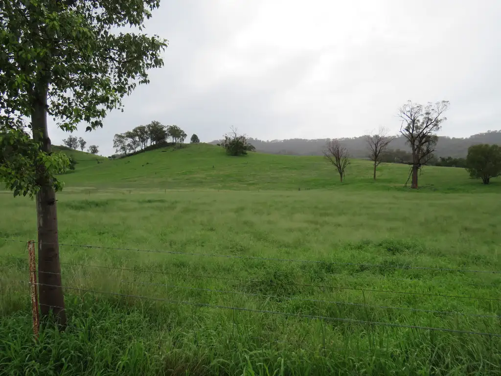 Main view of Homely rural property listing, 299 Echo Hills Road, Dungowan NSW 2340