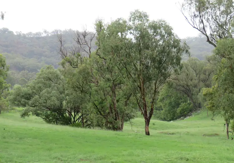 Sixth view of Homely rural property listing, 299 Echo Hills Road, Dungowan NSW 2340