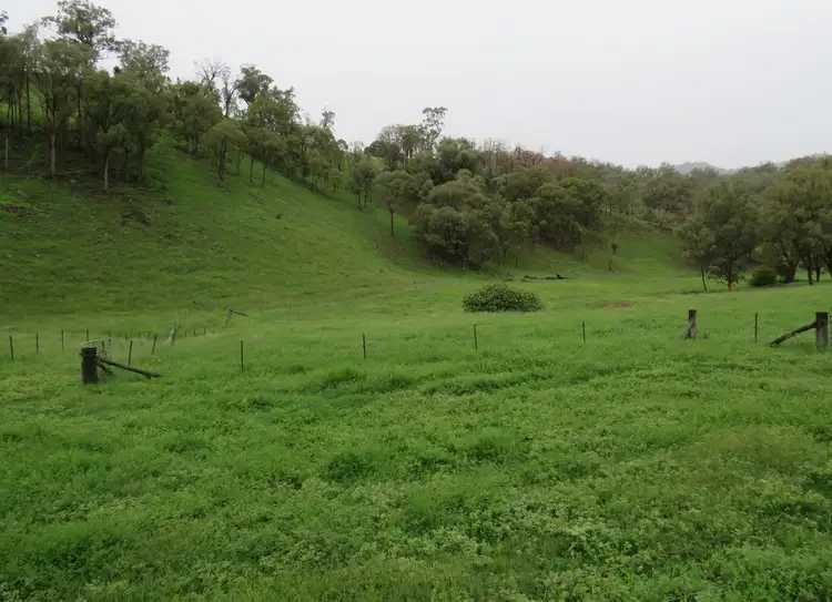 Seventh view of Homely rural property listing, 299 Echo Hills Road, Dungowan NSW 2340