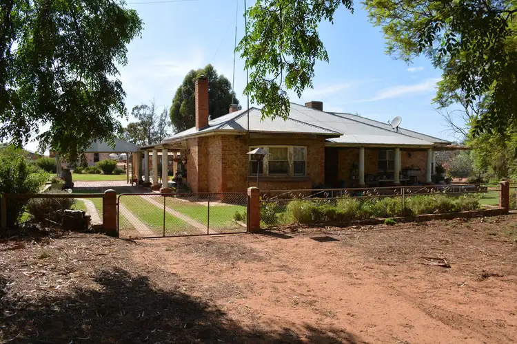 Second view of Homely rural property listing, CARINYA 584 Ruchel Road, Meringur VIC 3496