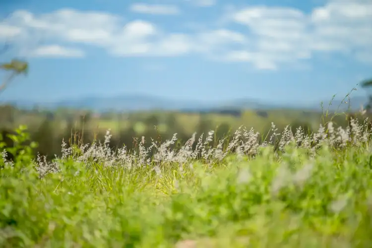 Sixth view of Homely land listing, 415 Groundwater Road, Southside QLD 4570