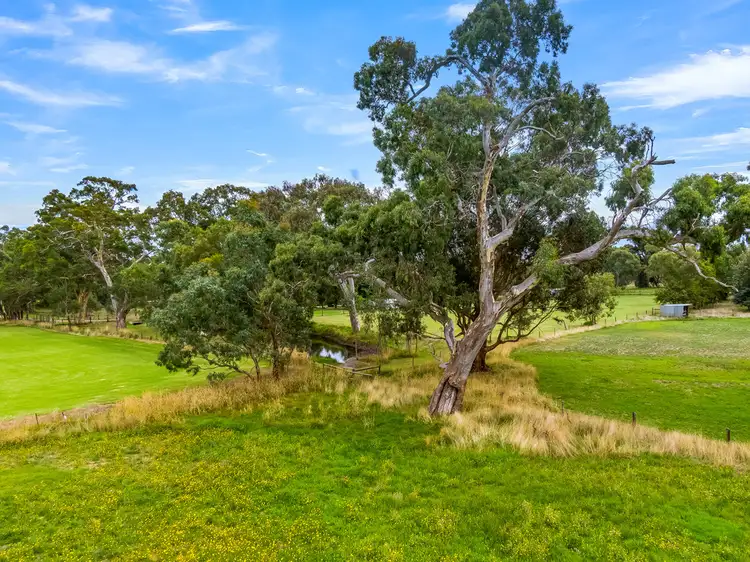 Seventh view of Homely other listing, 15 KONDOPARINGA ROAD, Meadows SA 5201