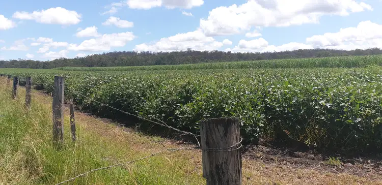 Lot 90 Harris Road Delan, Gin Gin QLD 4671