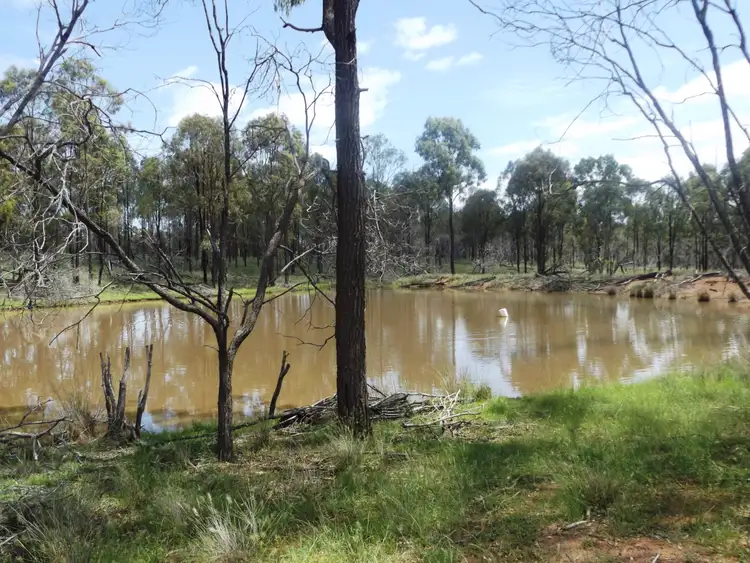 Third view of Homely rural property listing, 230 Bicks Road, Murgon QLD 4605