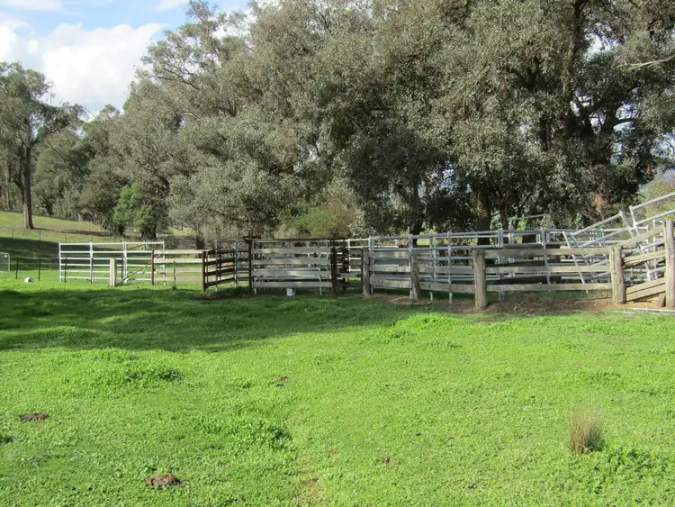 Third view of Homely rural property listing, 00 Kneebones Gap Road, Whorouly VIC 3735