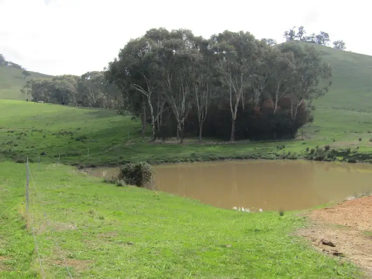 Sixth view of Homely rural property listing, 00 Kneebones Gap Road, Whorouly VIC 3735