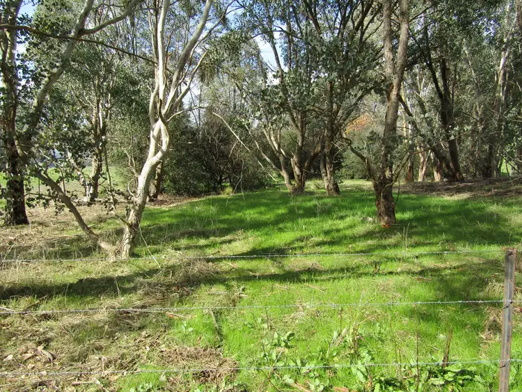 Seventh view of Homely rural property listing, 00 Kneebones Gap Road, Whorouly VIC 3735
