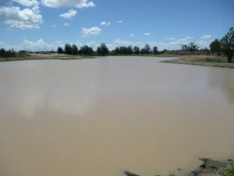 Third view of Homely rural property listing, 3952 ACRES FARMING AND CATTLE, Tara QLD 4421
