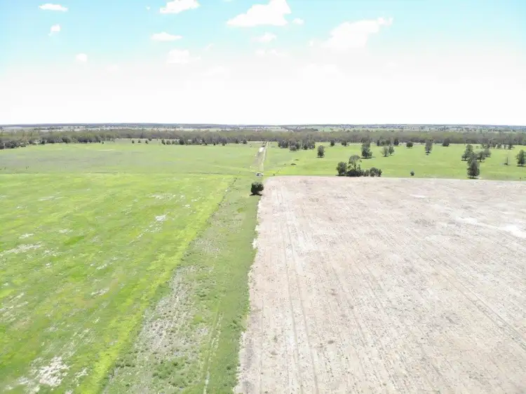 Fourth view of Homely rural property listing, 3952 ACRES FARMING AND CATTLE, Tara QLD 4421
