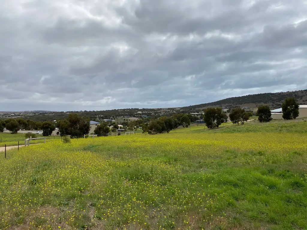 Main view of Homely rural property listing, 128-130 Panoramic Drive, Boston SA 5607