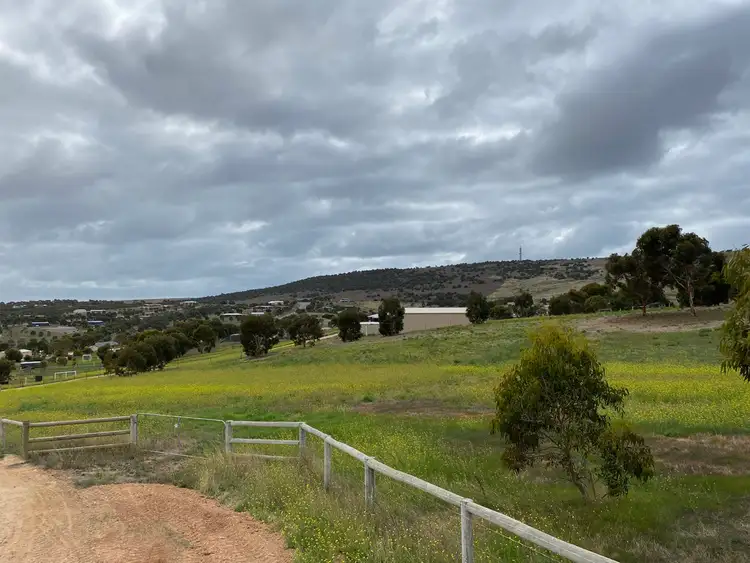 Fourth view of Homely rural property listing, 128-130 Panoramic Drive, Boston SA 5607