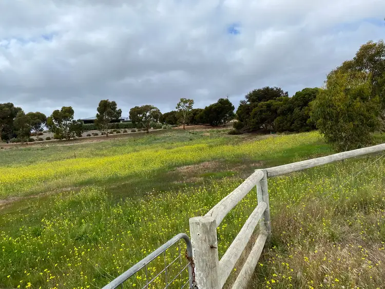 Fifth view of Homely rural property listing, 128-130 Panoramic Drive, Boston SA 5607