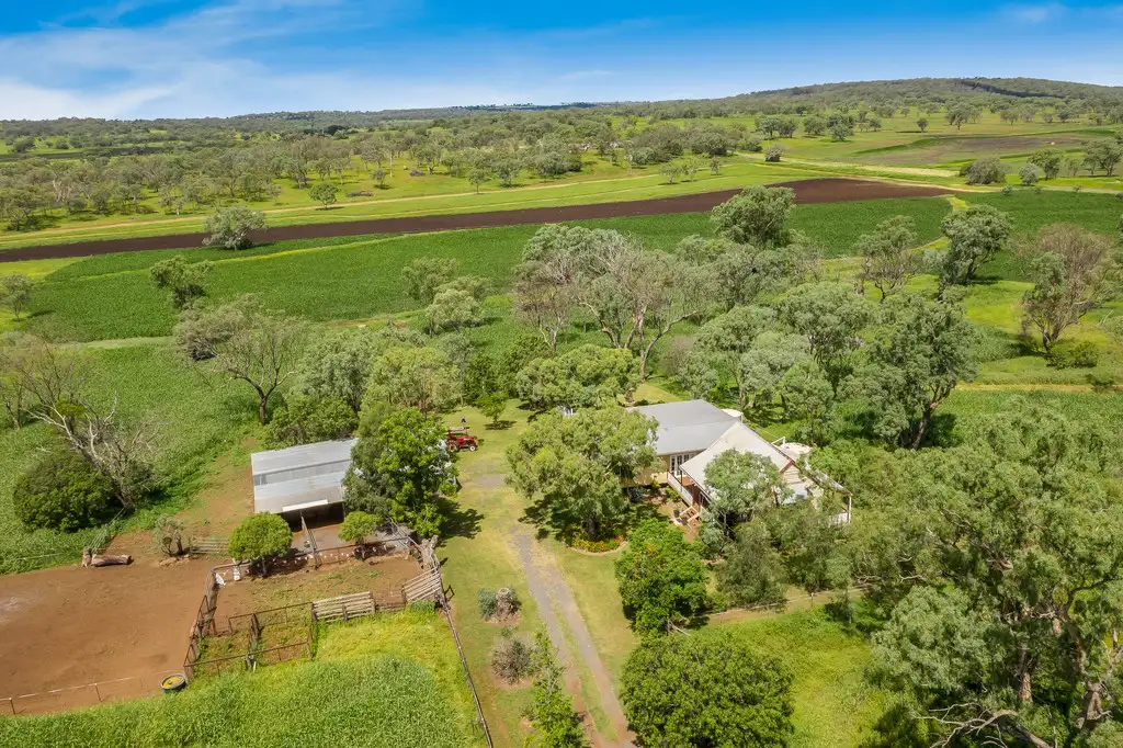 Main view of Homely rural property listing, 317 Murphys Road, Linthorpe QLD 4356