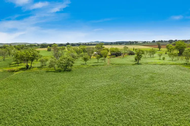 Third view of Homely rural property listing, 317 Murphys Road, Linthorpe QLD 4356