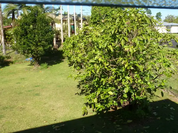 Fifth view of Homely house listing, 27 Mary Street, Innisfail QLD 4860
