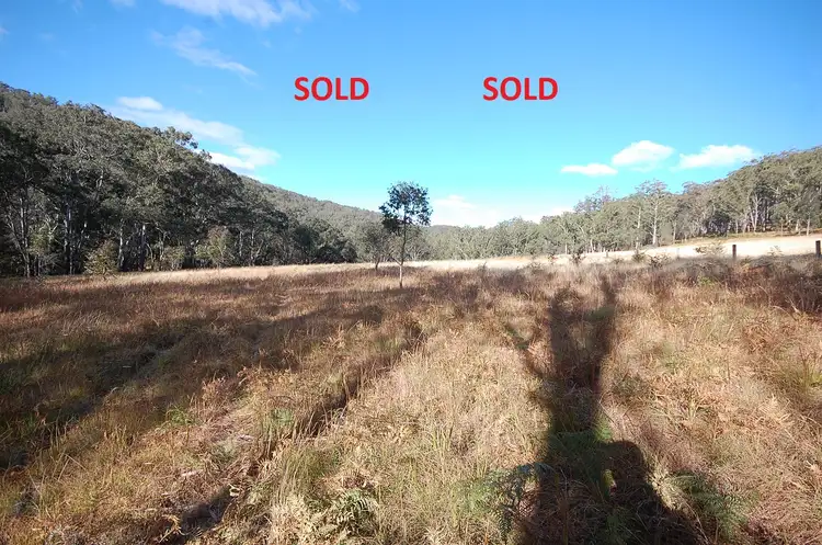 171 Harness Cask Rd, Dorrigo NSW 2453