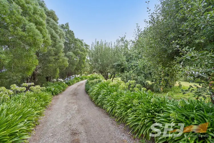 Main view of Homely rural property listing, 1081 Darnum-Allambee Road, Cloverlea VIC 3822