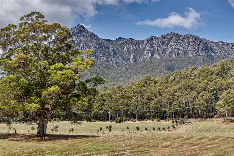 Main view of Homely rural property listing, Lot 5 1350 Claude Road, Gowrie Park TAS 7306