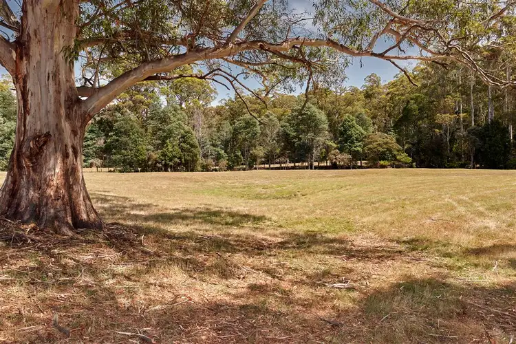 Sixth view of Homely rural property listing, Lot 5 1350 Claude Road, Gowrie Park TAS 7306