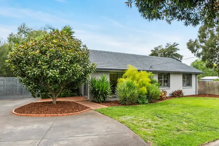 Main view of Homely house listing, 19 Ophelia Street, Ferntree Gully VIC 3156