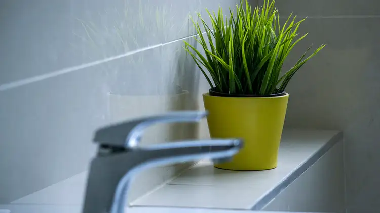 Fifth view of Homely unit listing, 4/3 Chandos Street, Ashfield NSW 2131