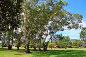 19 College Drive, Rostrevor SA 5073