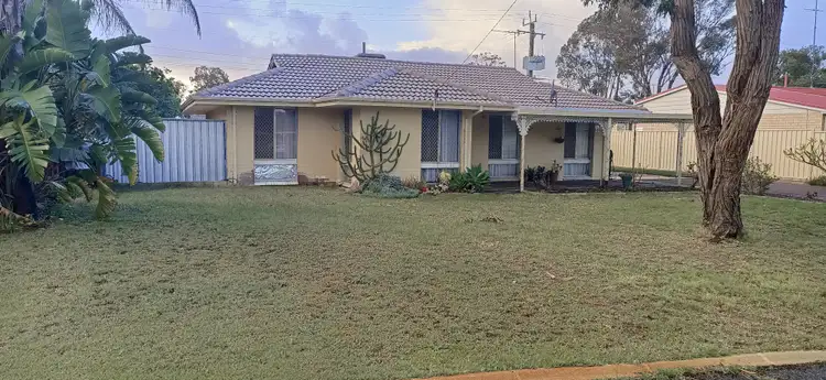 Second view of Homely house listing, 8 Tea Tree Place, Pinjarra WA 6208