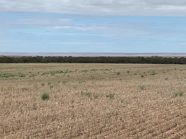 Second view of Homely rural property listing, Lot 505 Beaufort Road, Beaufort SA 5550