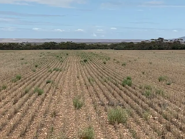Third view of Homely rural property listing, Lot 505 Beaufort Road, Beaufort SA 5550