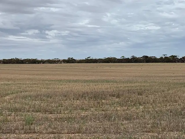 Fifth view of Homely rural property listing, Lot 505 Beaufort Road, Beaufort SA 5550