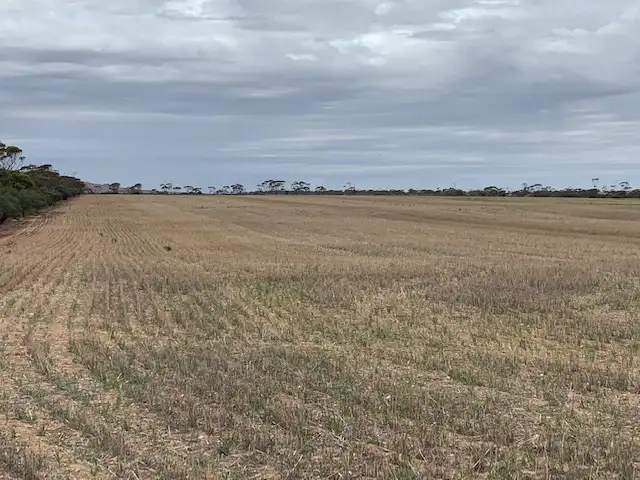 Seventh view of Homely rural property listing, Lot 505 Beaufort Road, Beaufort SA 5550