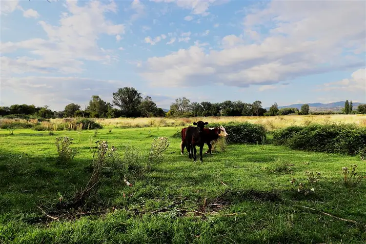 Fifth view of Homely rural property listing, "Brymay" Lot 8 Tumut Plains Road, Tumut NSW 2720