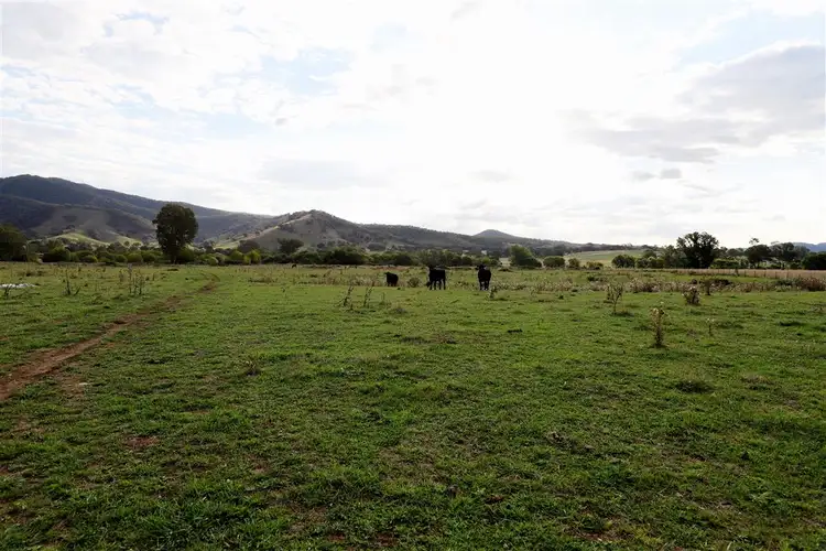 Sixth view of Homely rural property listing, "Brymay" Lot 8 Tumut Plains Road, Tumut NSW 2720