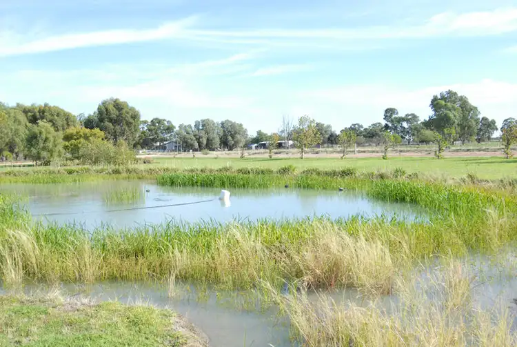 Second view of Homely rural property listing, 40 FLANAGANS LANE, Deniliquin NSW 2710